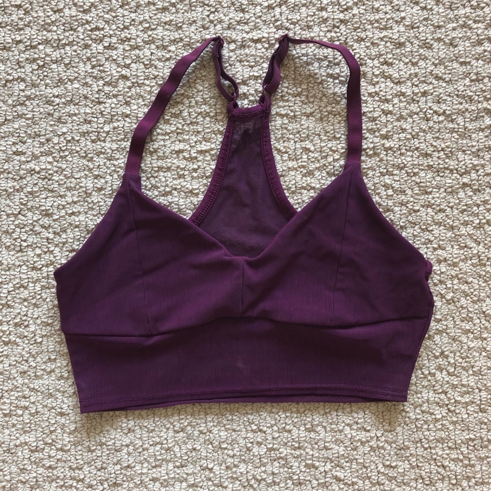 Fabletics sports bra